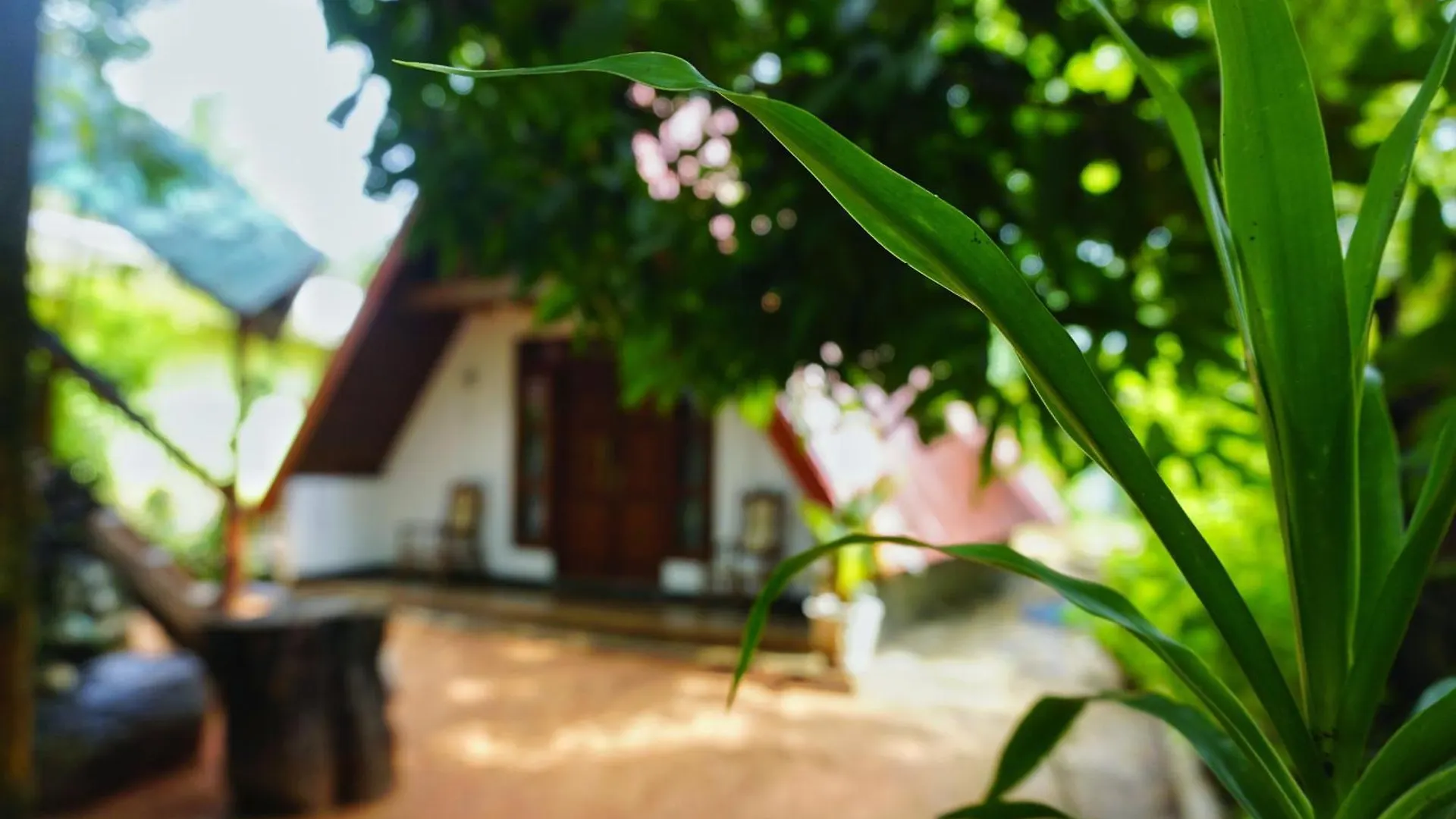 Sky Villa Sigiriya
